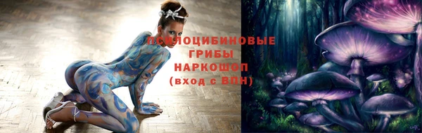 молекула духа Алексеевка