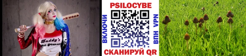 Галлюциногенные грибы мухоморы  Жуковка 